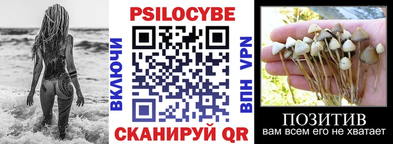 Галлюциногенные грибы Psilocybine cubensis  где продают наркотики  ссылка на мегу маркетплейс  Красновишерск 